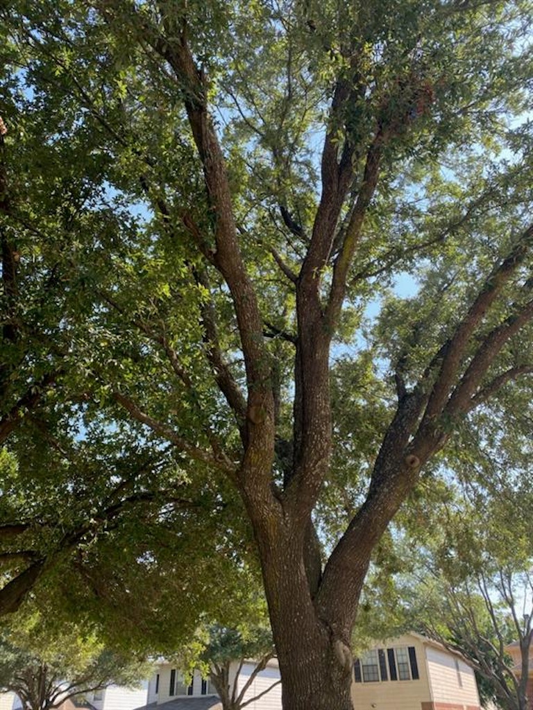 Photo 2 of 11 - 1027 Willow West Dr, Houston, TX 77073