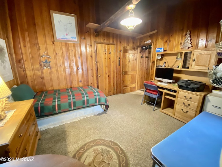 Photo 13 of 32 - 12708 N Sabino Canyon Pkwy, Mount Lemmon, AZ 85619