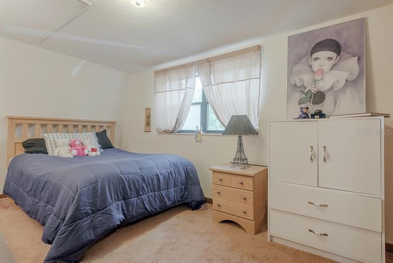 Photo 17 of 25 - 6943 Rivergate Ave, Temple Terrace, FL 33637