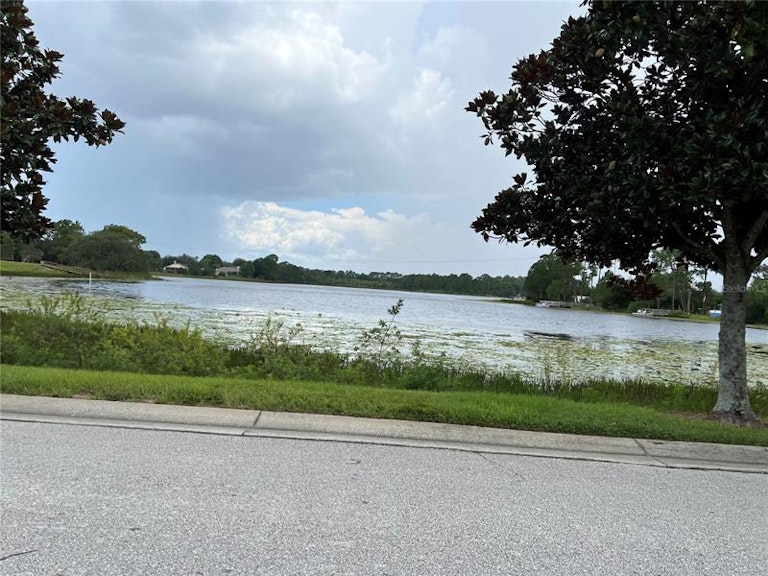 Photo 3 of 59 - 1028 Grand Reserve Dr, Davenport, FL 33837