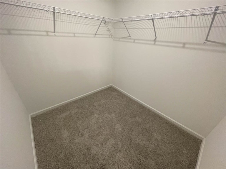 Photo 33 of 36 - 1224 Thea Cv, New Braunfels, TX 78130
