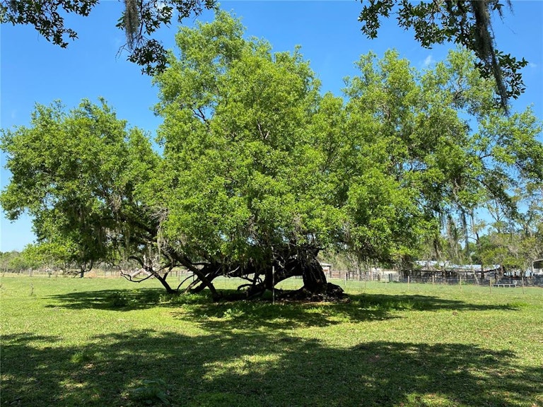 Photo 14 of 25 - 2330 N Valrico Rd, Seffner, FL 33584