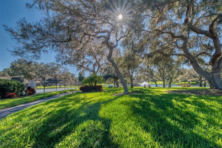 Photo 51 of 54 - 2107 Pinnacle Cir S, Palm Harbor, FL 34684