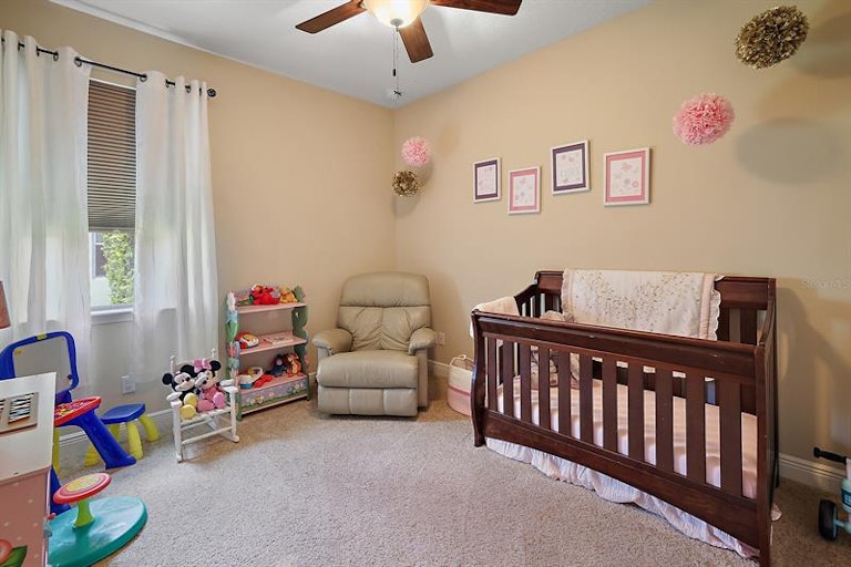 Photo 21 of 39 - 30213 Hackney Loop, Mount Dora, FL 32757