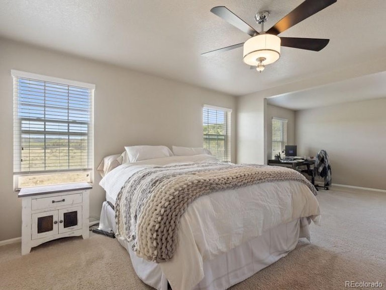 Photo 16 of 34 - 2042 Shadow Creek Dr, Castle Rock, CO 80104