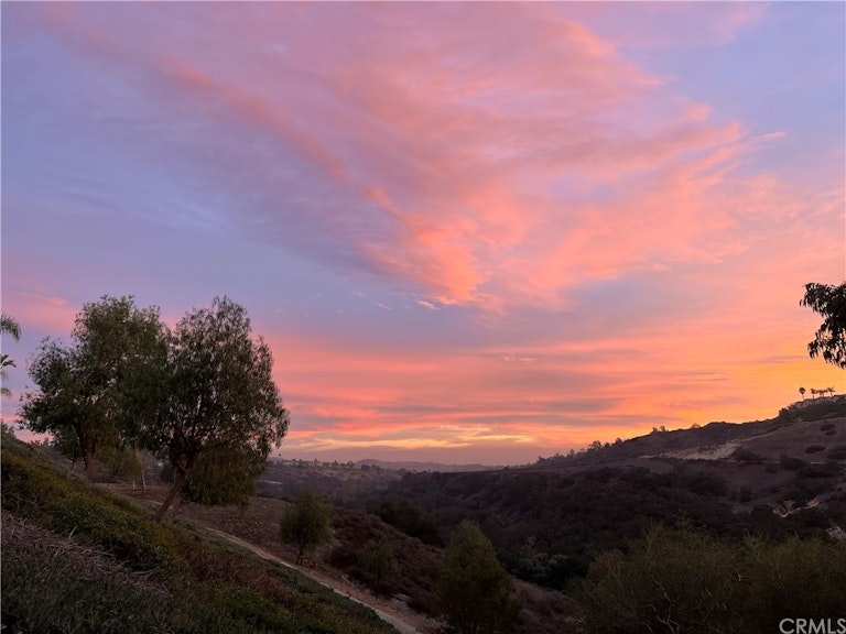 Photo 19 of 20 - 21401 Silvertree Ln, Trabuco Canyon, CA 92679