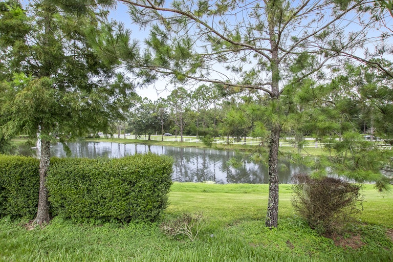 Photo 11 of 16 - 3264 MacIntosh Rd, Land O Lakes, FL 34639