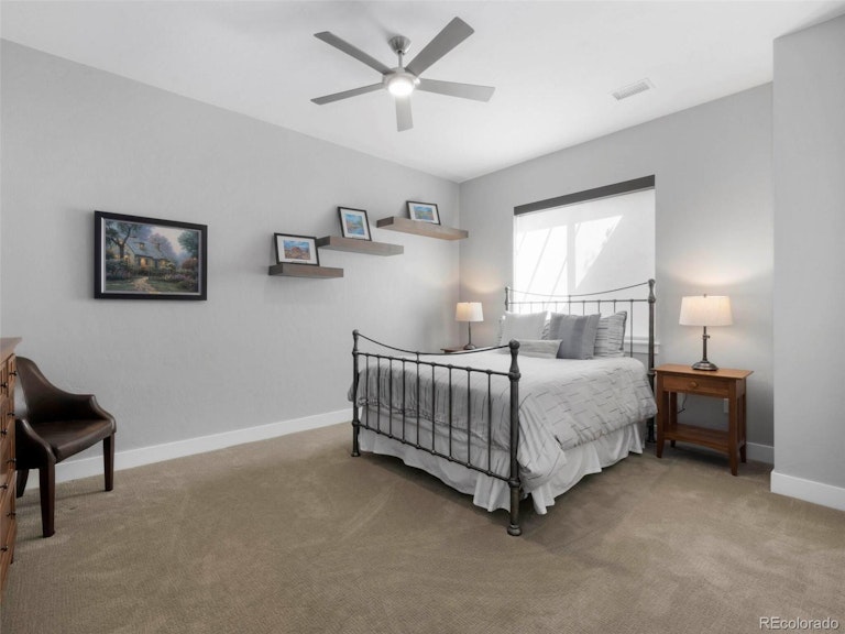 Photo 31 of 37 - 5168 Le Duc Dr, Castle Rock, CO 80108