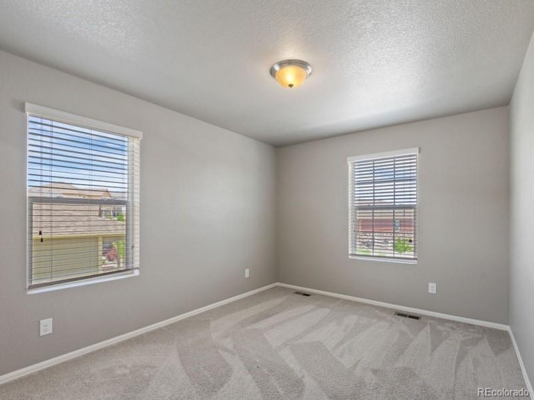 Photo 23 of 34 - 2042 Shadow Creek Dr, Castle Rock, CO 80104