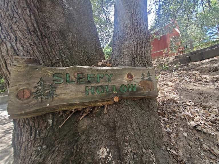 Photo 25 of 33 - 24937 Faulhorn Dr, Crestline, CA 92325