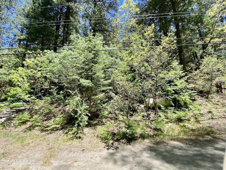 Photo 25 of 32 - 12708 N Sabino Canyon Pkwy, Mount Lemmon, AZ 85619