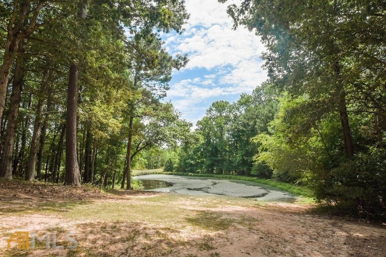 Photo 66 of 105 - 1013 Country Ln, Loganville, GA 30052
