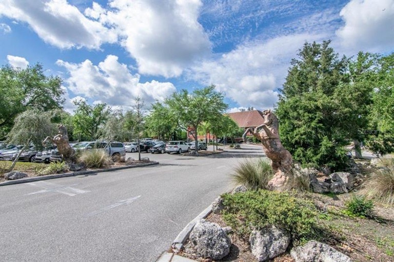 Photo 69 of 72 - 18910 Maisons Dr, Lutz, FL 33558