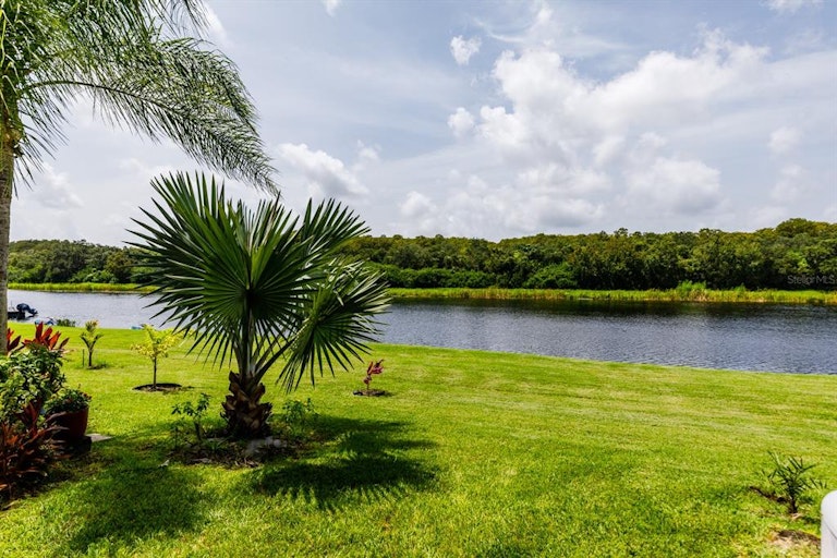 Photo 29 of 36 - 1802 Lago Vista Blvd, Palm Harbor, FL 34685