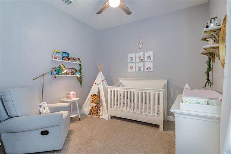 Photo 29 of 57 - 16532 Ballyshannon Dr, Tampa, FL 33624