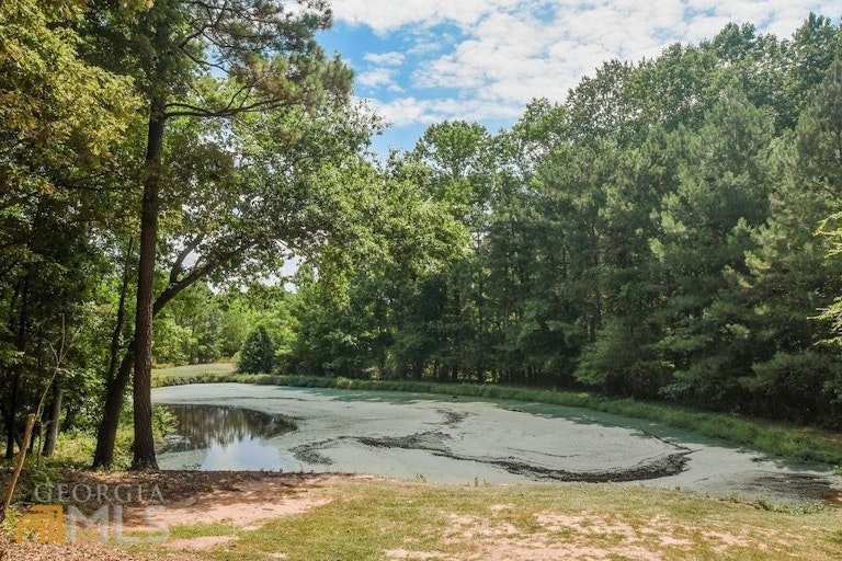 Photo 67 of 105 - 1013 Country Ln, Loganville, GA 30052