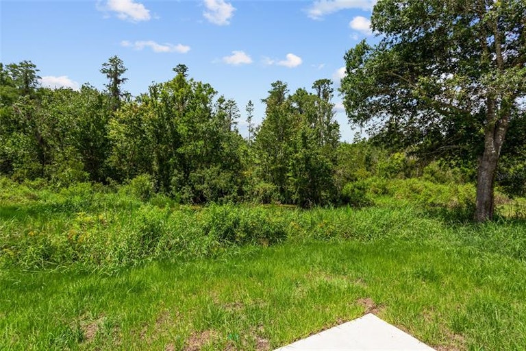 Photo 21 of 29 - 426 Mallard Ln, Kissimmee, FL 34759