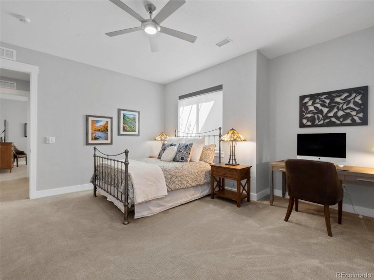 Photo 29 of 37 - 5168 Le Duc Dr, Castle Rock, CO 80108