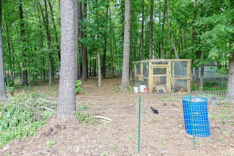 Photo 20 of 20 - 117 Eason Ct, Youngsville, NC 27596
