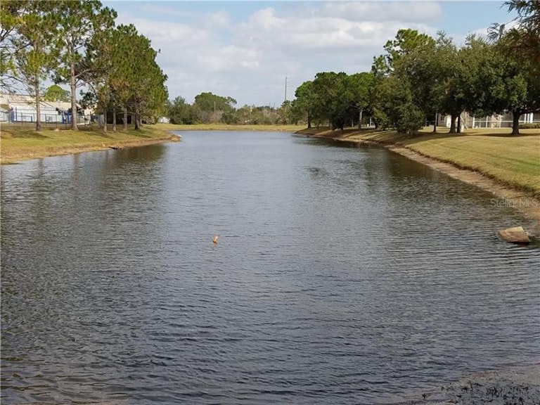 Photo 24 of 24 - 5401 Dahlia Reserve Dr, Kissimmee, FL 34758