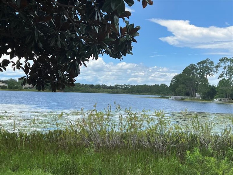 Photo 58 of 59 - 1028 Grand Reserve Dr, Davenport, FL 33837