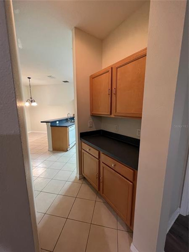 Photo 21 of 43 - 360 Tupelo Cir, Davenport, FL 33897