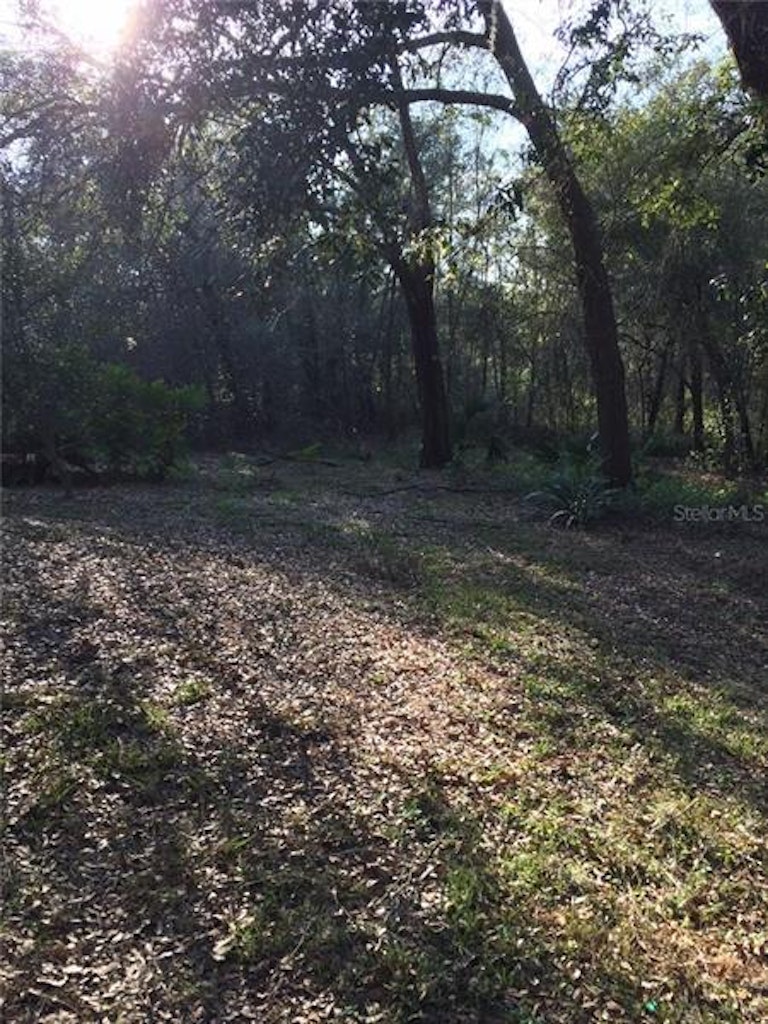 Photo 16 of 24 - 618 First Ave, Lady Lake, FL 32159