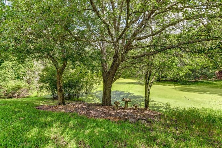 Photo 45 of 47 - 1411 Wyngate Dr, Deland, FL 32724
