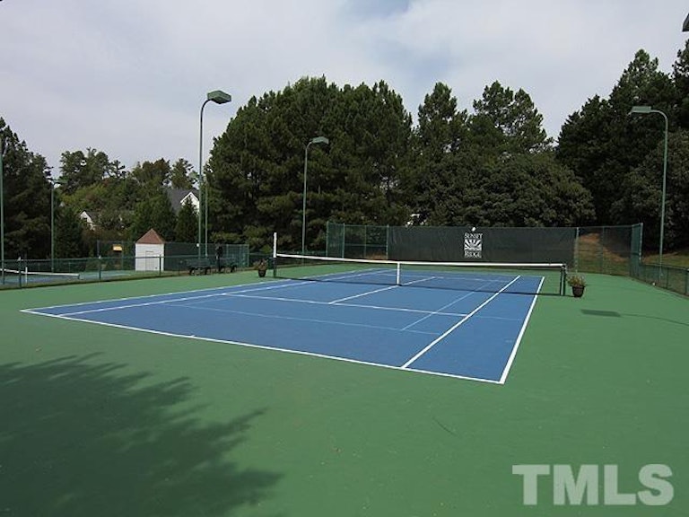 Photo 46 of 47 - 284 Elmcrest Dr, Holly Springs, NC 27540
