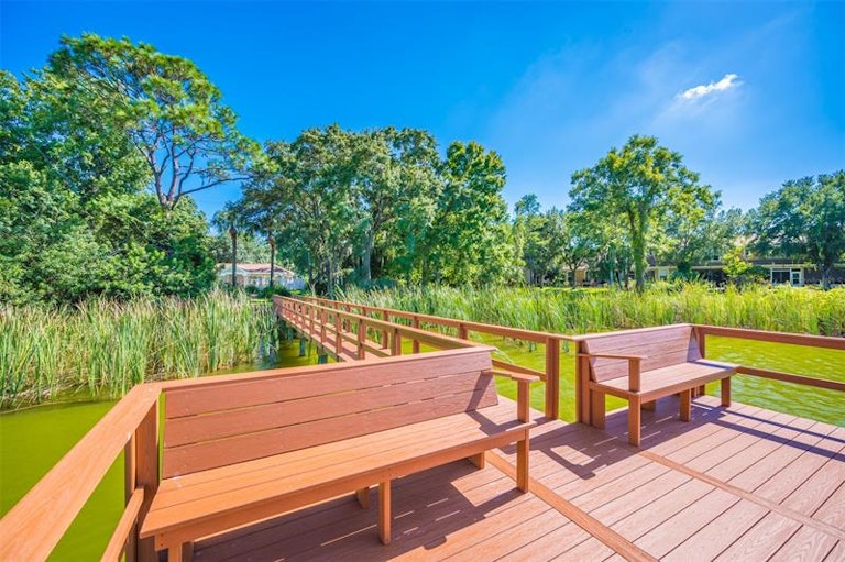 Photo 43 of 47 - 525 Spring Lake Cir, Tarpon Springs, FL 34688