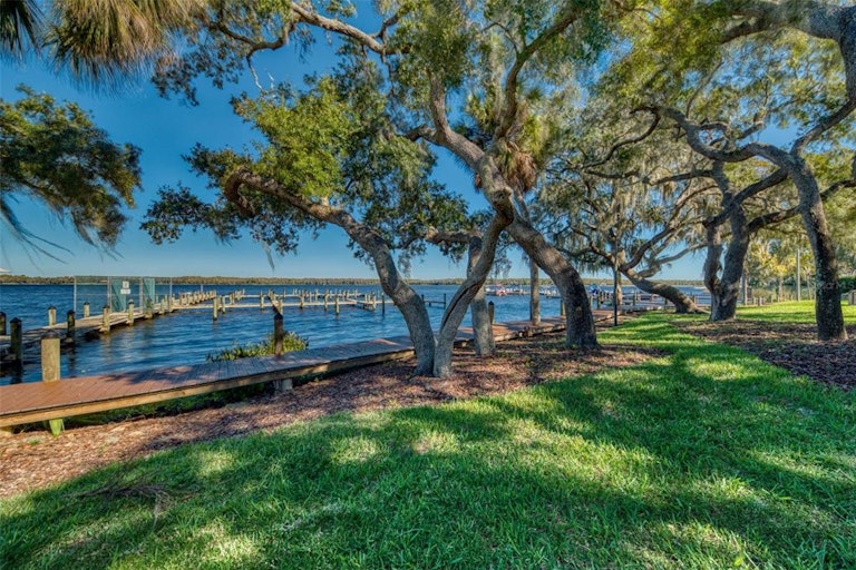 Photo 50 of 54 - 2107 Pinnacle Cir S, Palm Harbor, FL 34684