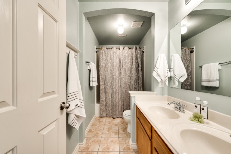 Photo 29 of 37 - 229 Willowlake Dr, Little Elm, TX 75068